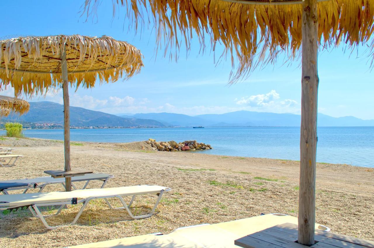 Epipleon Luxury Suites -105- Δωμάτιο 35Τμ Με Βεράντα 35Τμ Μπροστά Στη Θάλασσα นาฟปาคตอส ภายนอก รูปภาพ